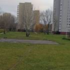 Fotka nr 4 z 5