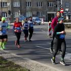 zdjęcie nr 337