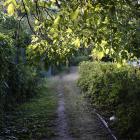 Fotka nr 5 z 12