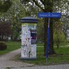 Fotka nr 5 z 7