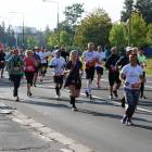 zdjęcie nr 146