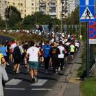 zdjęcie nr 106