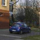 Fotka nr 4 z 5