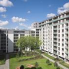 zdjęcie nr 50