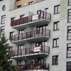 Fotka nr 2 z 3