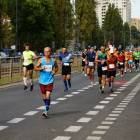 zdjęcie nr 201