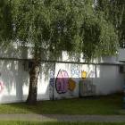 Fotka nr 1 z 3