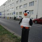 zdjęcie nr 12