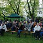 zdjęcie nr 13