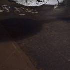 Fotka nr 4 z 12