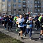 zdjęcie nr 247