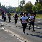 zdjęcie nr 184