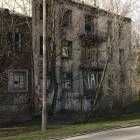 Fotka nr 5 z 8