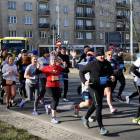 zdjęcie nr 319