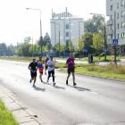 zdjęcie nr 265
