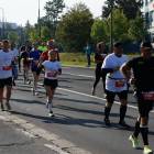 zdjęcie nr 150