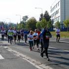 zdjęcie nr 172