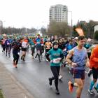 zdjęcie nr 201