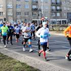 zdjęcie nr 237