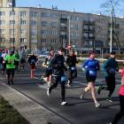 zdjęcie nr 113