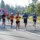 zdjęcie nr 30