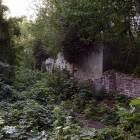 Fotka nr 3 z 10