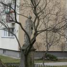 zdjęcie nr 13