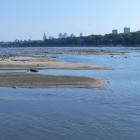 wyschnieta wisla