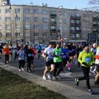 zdjęcie nr 201