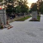 zdjęcie nr 10