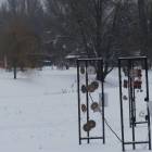 zdjęcie nr 48
