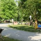 zdjęcie nr 23