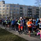 zdjęcie nr 263