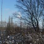 zdjęcie nr 43