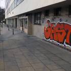 Fotka nr 5 z 8