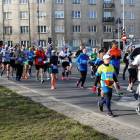 zdjęcie nr 245
