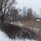 zdjęcie nr 38