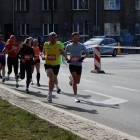 zdjęcie nr 18