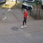 Fotka nr 1 z 3