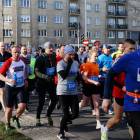 zdjęcie nr 167