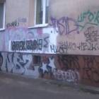 Fotka nr 4 z 6