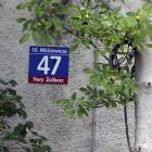 Fotka nr 2 z 9