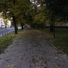 Fotka nr 5 z 7