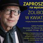 zdjęcie nr 8