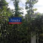Fotka nr 4 z 9