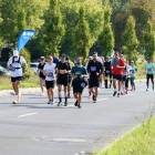 zdjęcie nr 395