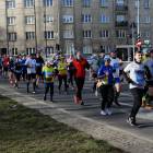 zdjęcie nr 244
