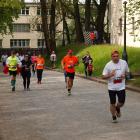 zdjęcie nr 179