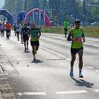 zdjęcie nr 227