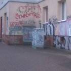 Fotka nr 5 z 6